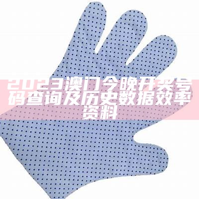 澳门九龙免费公开资料新手必知：精准数据设计策略