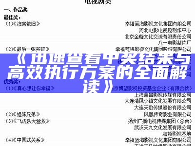 《迅速查看中奖结果与高效执行方案的全面解读》