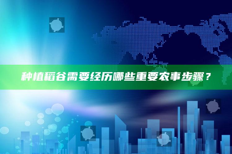 种植稻谷需要经历哪些重要农事步骤？ ,种稻谷的步骤图片 卡通