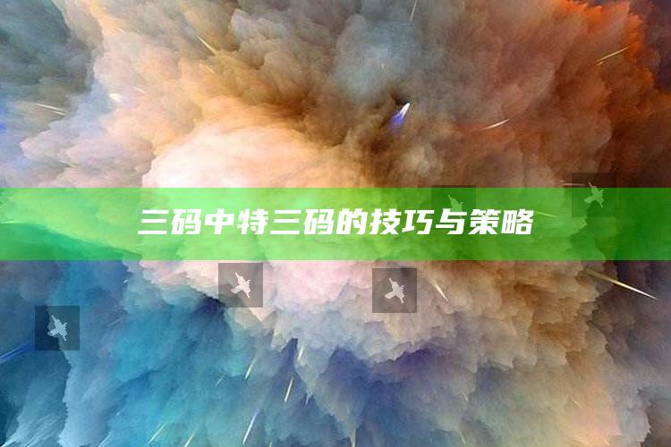 澳门王中王100%的资料，三码中特三码的技巧与策略