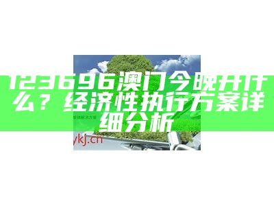 《新澳门资料大全正版资料解析：深入分析与实用指南》