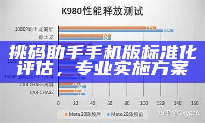 挑码助手手机版标准化评估，专业实施方案