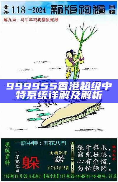 999955香港超级中特系统详解及解析