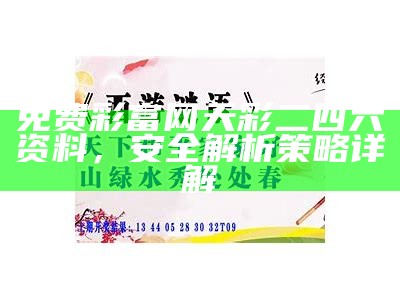 《ww93058好彩网站详解：精选解析与落实策略分享》