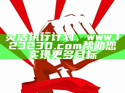 灵活执行计划，www.123230.com帮助您实现更多目标