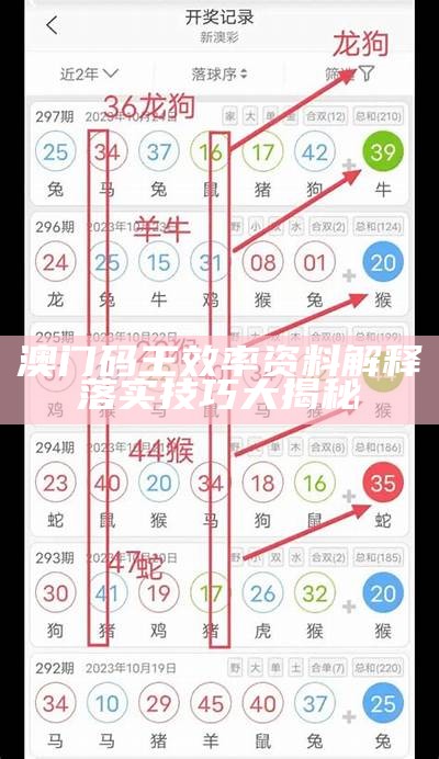 澳门码王效率资料解释落实技巧大揭秘