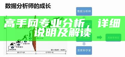 高手网专业分析，详细说明及解读