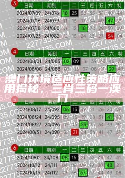 《2023澳门三肖三码解析与安全策略：全方位揭秘与实用技巧》