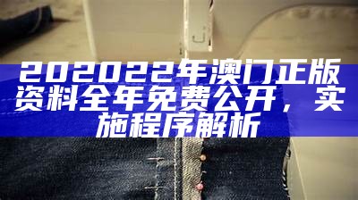 202022年澳门正版资料全年免费公开，实施程序解析