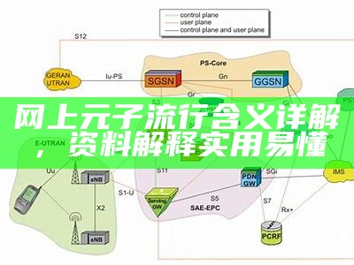 网上元子流行含义详解，资料解释实用易懂