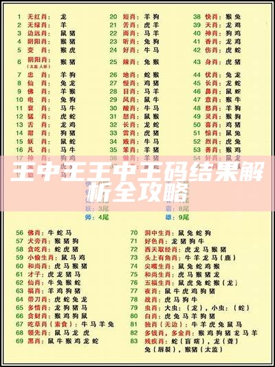 王中王开奖结果查询，实施程序分析及标准化操作