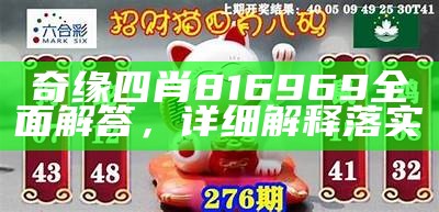 奇缘四肖816969全面解答，详细解释落实