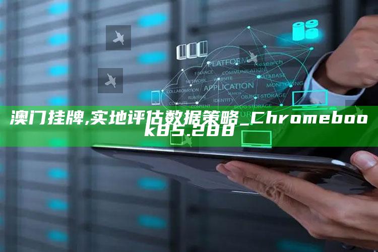 稻草人永久免费计划软件，澳门挂牌,实地评估数据策略_Chromebook85.288