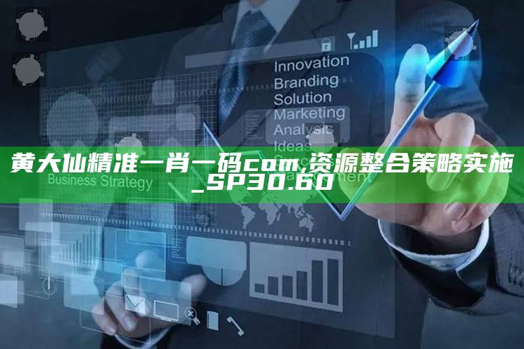 开奖历史记录查询，黄大仙精准一肖一码com,资源整合策略实施_SP30.60