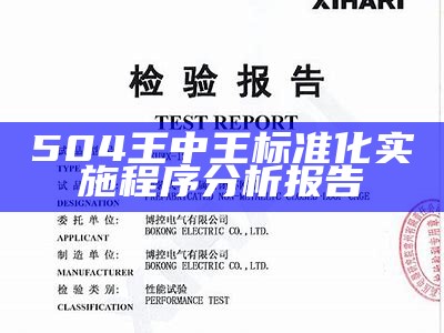 504王中王标准化实施程序分析报告