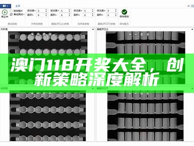 澳门王中王免费精准资料系统化解析及分析