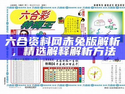 六合资免费料大全，系统化解析及详细说明