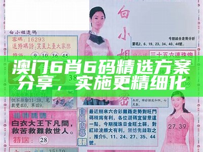 《澳门6肖6码精选大全：领先的精细方案实施指南》