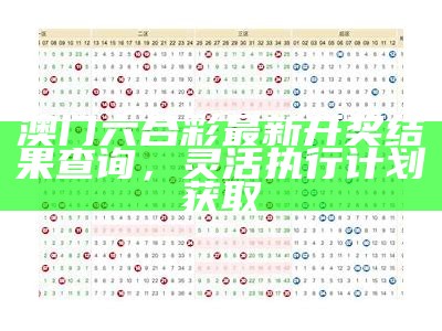 202"澳门2021年最新开奖结果及标准化实施评估"