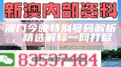 澳门今晚特别号码解析，精选解释一网打尽