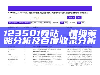 123501网站，精细策略分析及百度收录分析