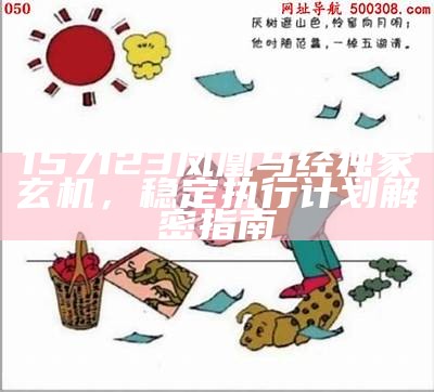 157123凤凰马经独家玄机，稳定执行计划解密指南