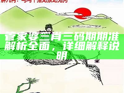 澳门管家婆精准资料下载，专业数据设计策略指南