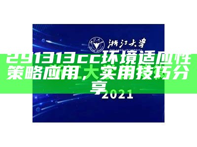 291313cc环境适应性策略应用，实用技巧分享