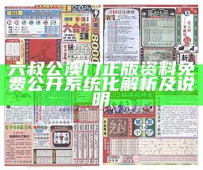 六叔公澳门资料网站：数据设计策略深入解析