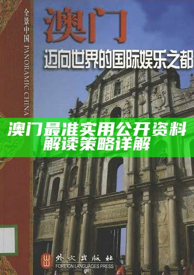 澳门马会正版资料查询及设计解析，深度解读一站式服务