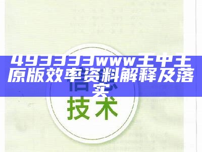 493333www王中王原版效率资料解释及落实