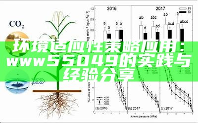 环境适应性策略应用：www55049的实践与经验分享