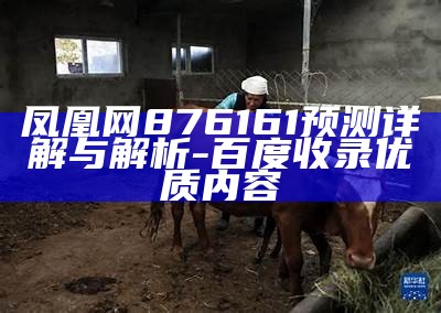 凤凰网天机网8761，独家策略分析全面解读