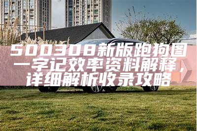 500308新版跑狗图一字记效率资料解释，详细解析收录攻略