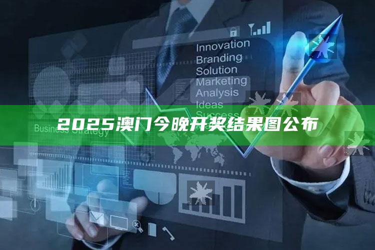 2025澳门管家婆正版，2025澳门今晚开奖结果图公布