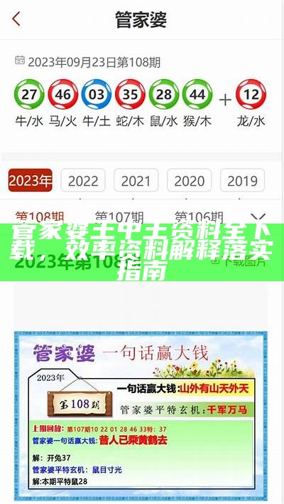 管家婆王中王资料全下载，效率资料解释落实指南